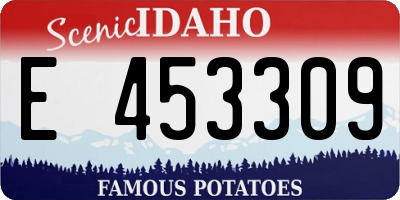 ID license plate E453309