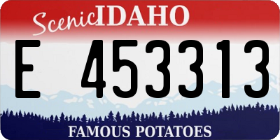 ID license plate E453313