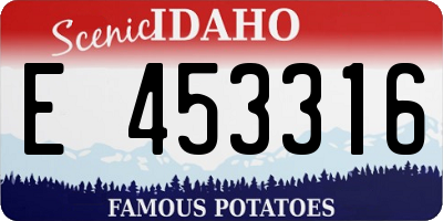 ID license plate E453316