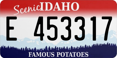 ID license plate E453317