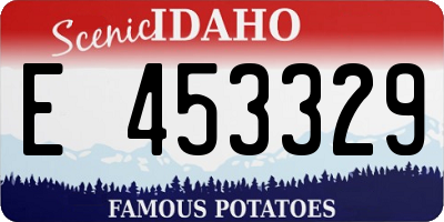 ID license plate E453329