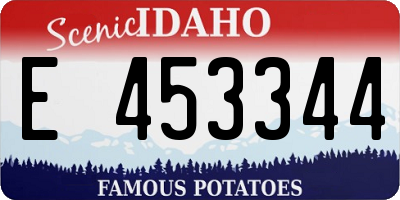 ID license plate E453344
