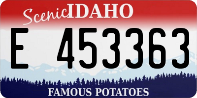 ID license plate E453363