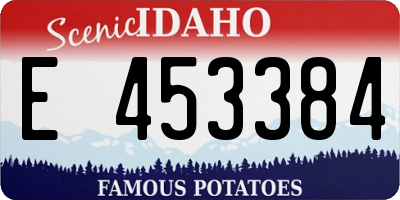 ID license plate E453384