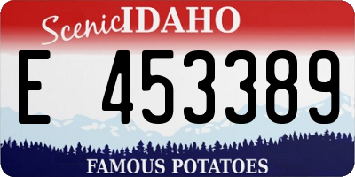 ID license plate E453389