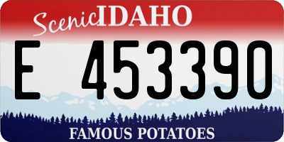 ID license plate E453390
