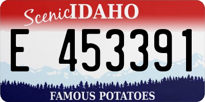 ID license plate E453391