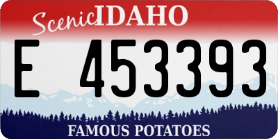 ID license plate E453393