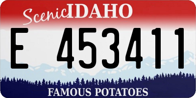 ID license plate E453411