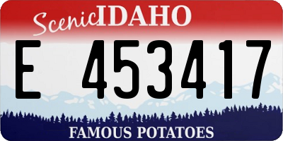 ID license plate E453417