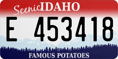 ID license plate E453418