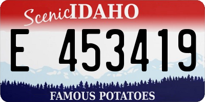 ID license plate E453419