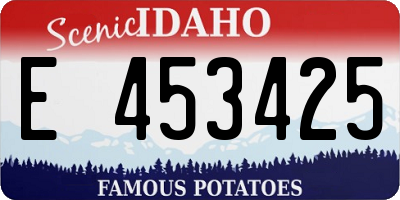 ID license plate E453425