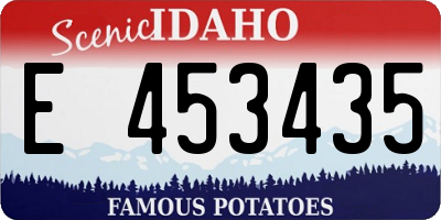 ID license plate E453435