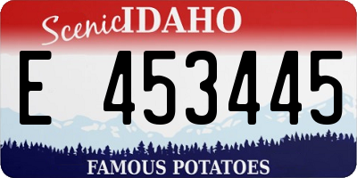 ID license plate E453445