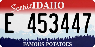 ID license plate E453447
