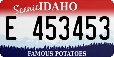 ID license plate E453453