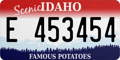 ID license plate E453454