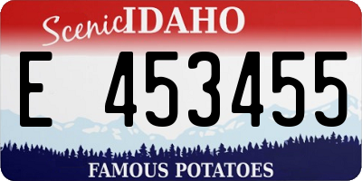 ID license plate E453455