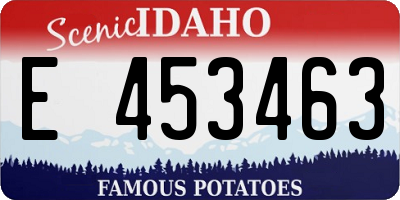 ID license plate E453463