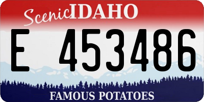 ID license plate E453486