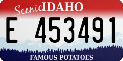 ID license plate E453491