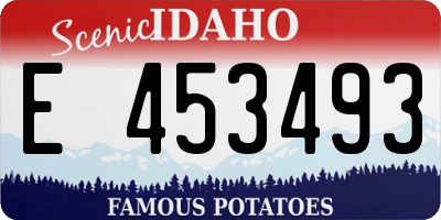 ID license plate E453493