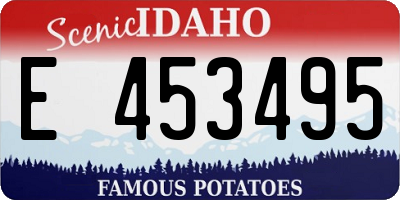 ID license plate E453495