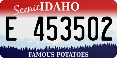 ID license plate E453502
