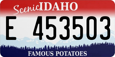 ID license plate E453503