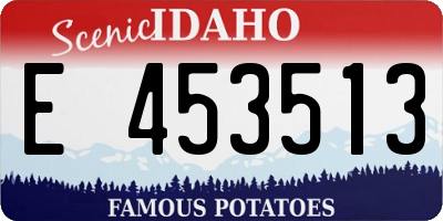 ID license plate E453513