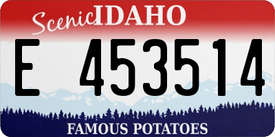 ID license plate E453514