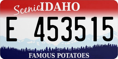 ID license plate E453515