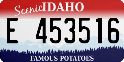 ID license plate E453516