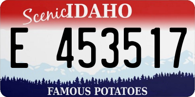 ID license plate E453517