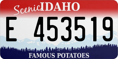 ID license plate E453519