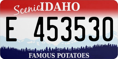 ID license plate E453530