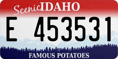 ID license plate E453531
