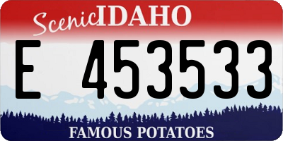 ID license plate E453533