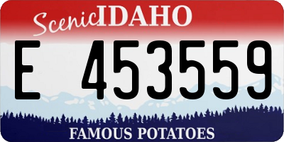 ID license plate E453559