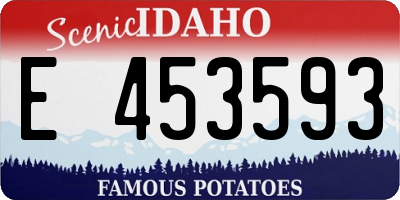 ID license plate E453593