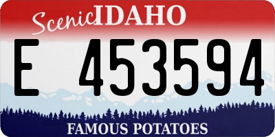 ID license plate E453594