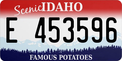 ID license plate E453596