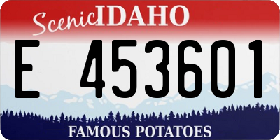 ID license plate E453601