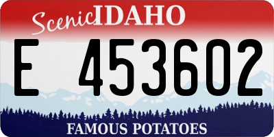 ID license plate E453602