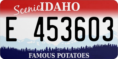 ID license plate E453603