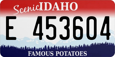 ID license plate E453604