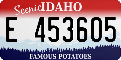 ID license plate E453605