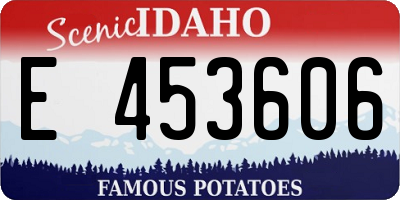 ID license plate E453606
