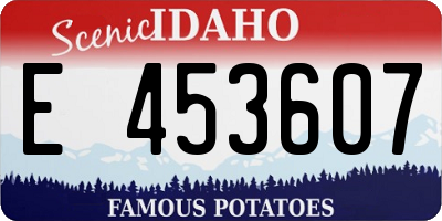 ID license plate E453607